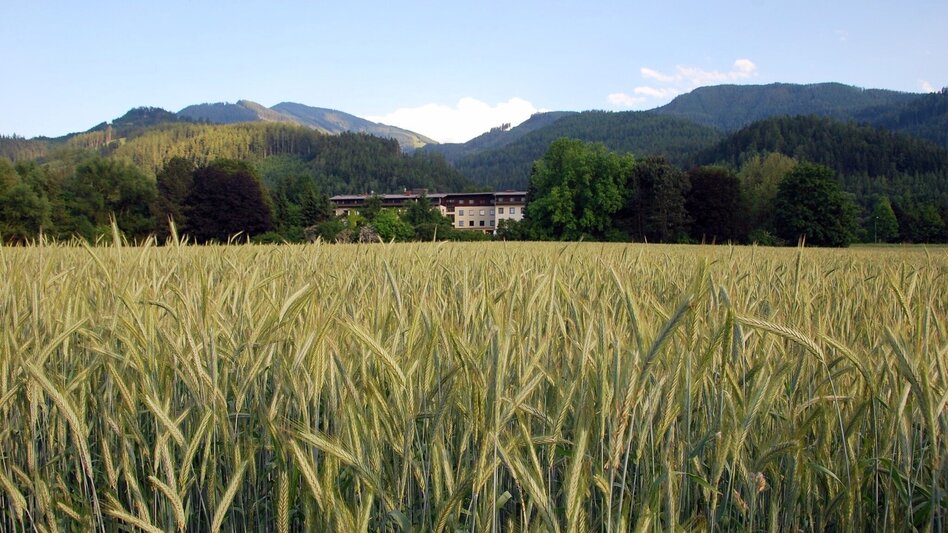 Mountainbike LE01 MTB Mugelrunde - Touren-Impression #2.13 | © Tourismusverband ERZBERG LEOBEN