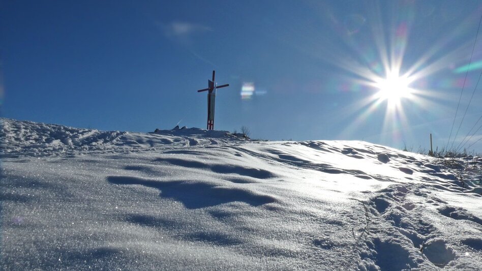 Mountainbike LE01 MTB Mugelrunde - Touren-Impression #2.15 | © Tourismusverband ERZBERG LEOBEN