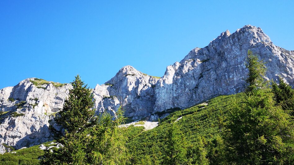 Alpinklettern Alpinklettergarten Raxenmäuer im Naturpark Mürzer Oberland - Touren-Impression #2.2 | © TV Hochsteiermark