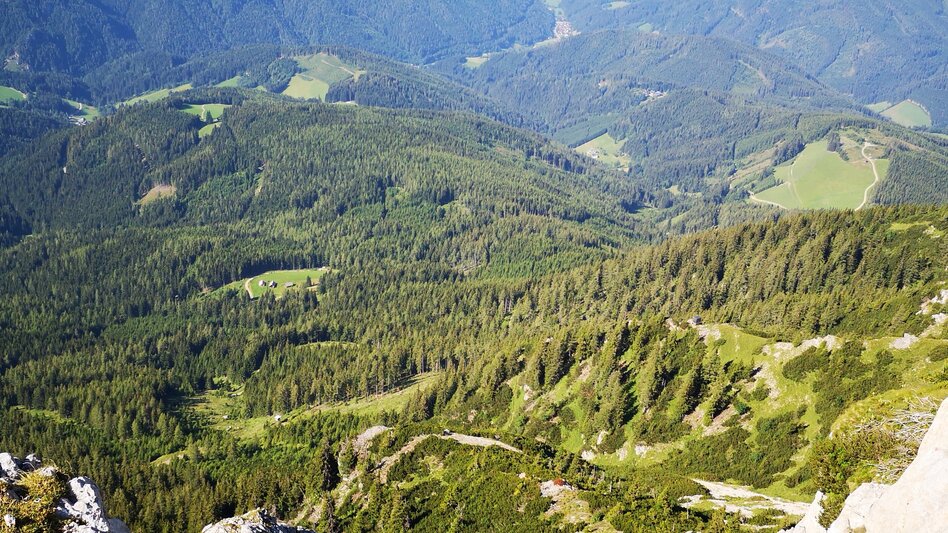 Alpinklettern Alpinklettergarten Raxenmäuer im Naturpark Mürzer Oberland - Touren-Impression #2.3 | © TV Hochsteiermark