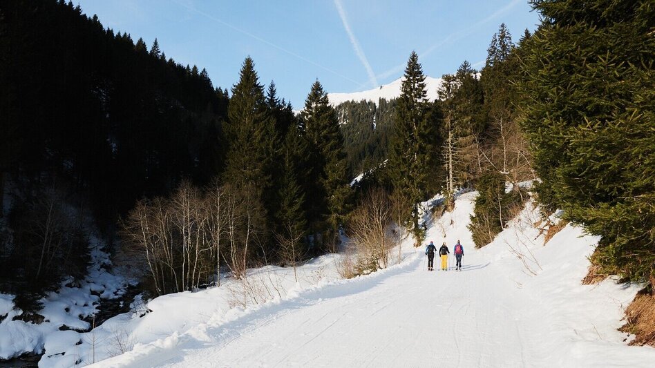 Winter Hiking Winter hiking to Mörsbachalm - Touren-Impression #2.1 | © Erlebnisregion Schladming-Dachstein