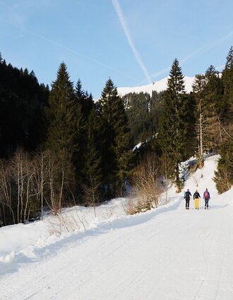 Bergauf auf dem bestens präpariertem Weg | Armin Walcher | © Erlebnisregion Schladming-Dachstein