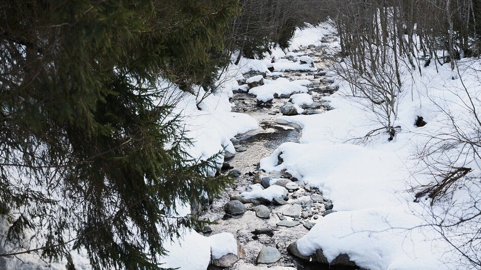Winter Hiking Winter hiking to Mörsbachalm - Touren-Impression #2.3 | © Erlebnisregion Schladming-Dachstein
