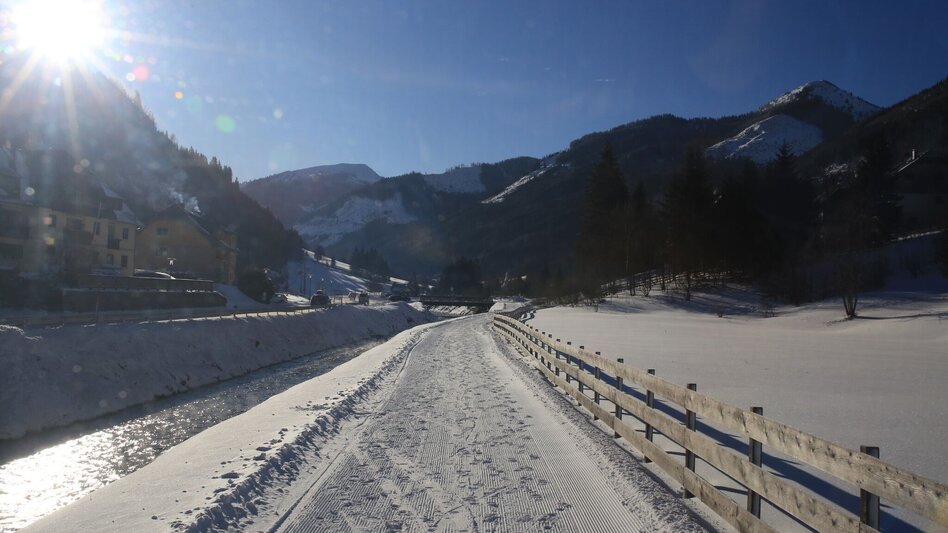 Winter Hiking Winter hiking to Hinterwald - Touren-Impression #2.2 | © Erlebnisregion Schladming-Dachstein