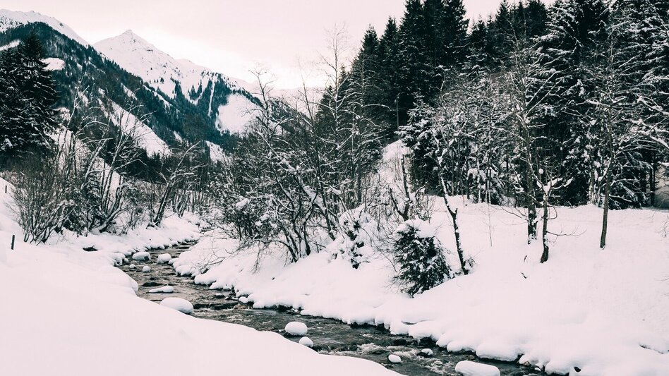 Winter Hiking Winter hiking to Hinterwald - Touren-Impression #2.3 | © Erlebnisregion Schladming-Dachstein