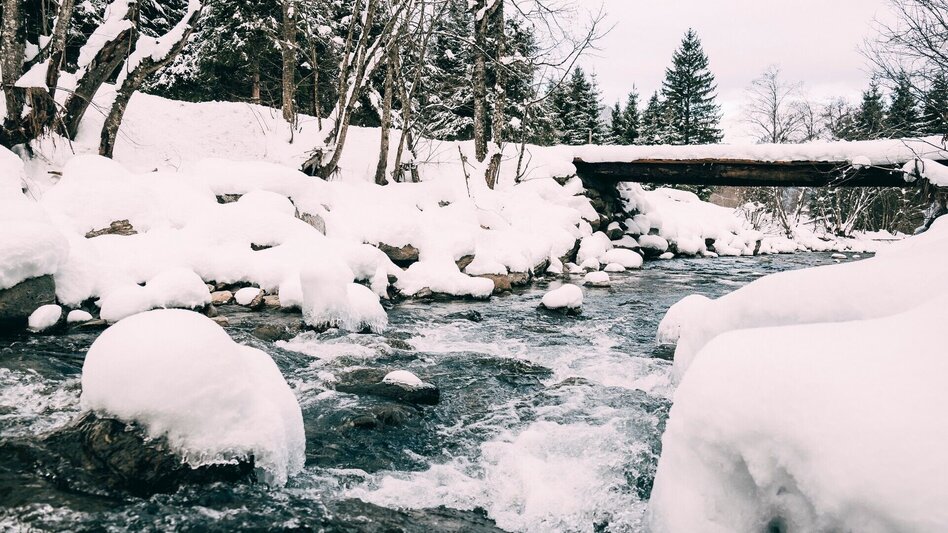 Winter Hiking Winter hiking to Hinterwald - Touren-Impression #2.4 | © Erlebnisregion Schladming-Dachstein