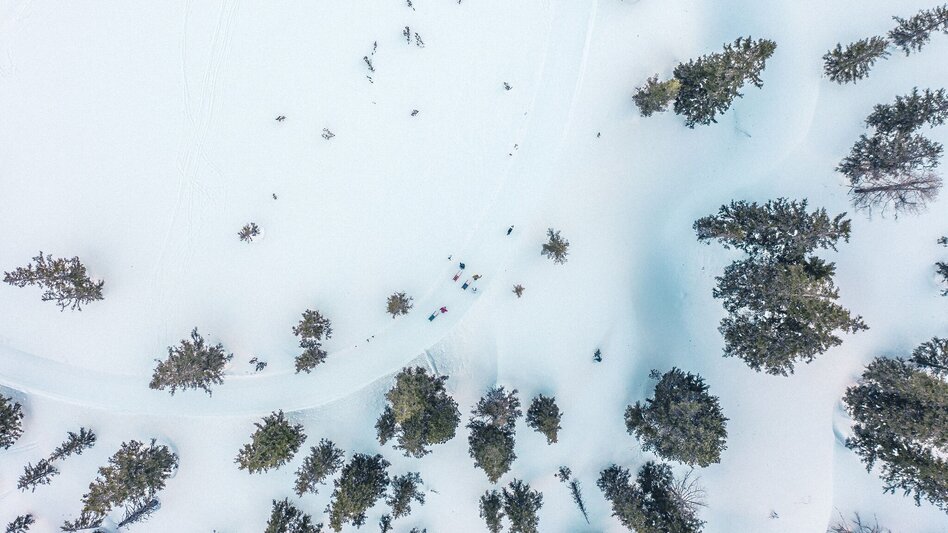 Winter Hiking Winter hiking trail Planneralm - Touren-Impression #2.1 | © Unbekannt