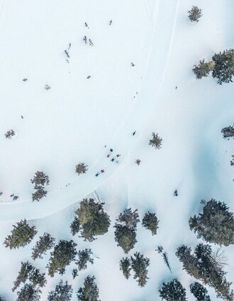 From the bird's eye view | Tom Lamm | © Unbekannt