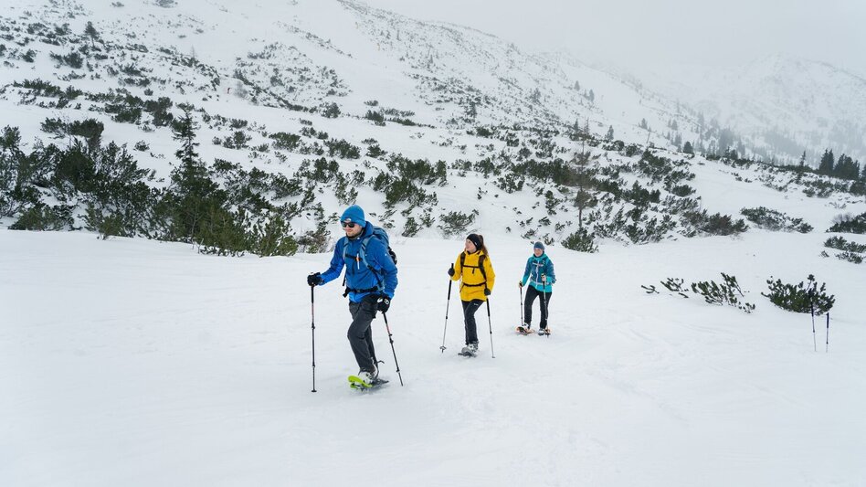 Snowshoe walking Snowshoe hiking tour Plannersee Runde - Touren-Impression #2.2 | © Erlebnisregion Schladming-Dachstein