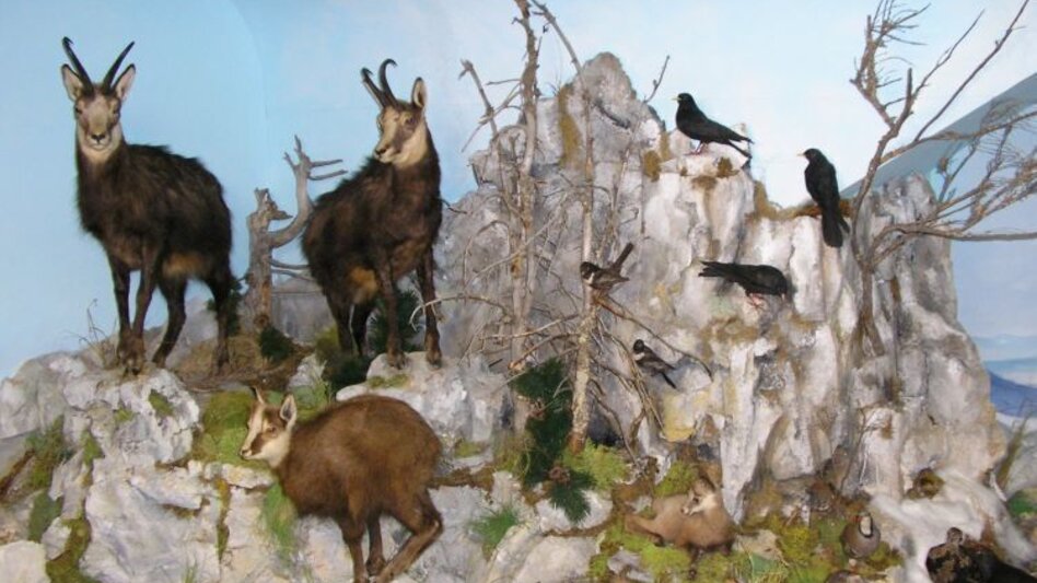 Hiking route Hike across the Kleinveitschalm in the Mürzer Oberland Nature Park - Touren-Impression #2.4 | © TV Hochsteiermark