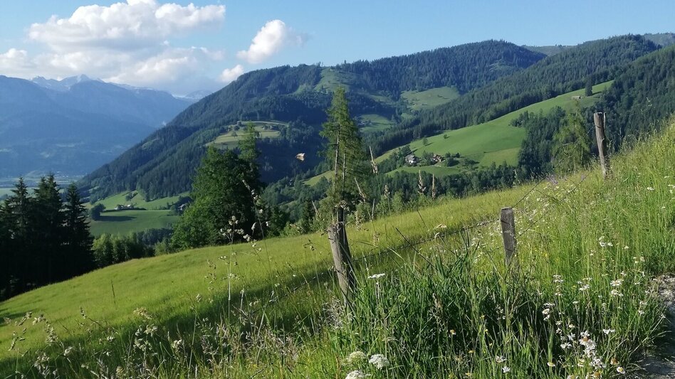 Wanderung Mölbegg Weg von Aigen - Touren-Impression #2.1 | © Tourismusverband Grimming-Donnersbachtal