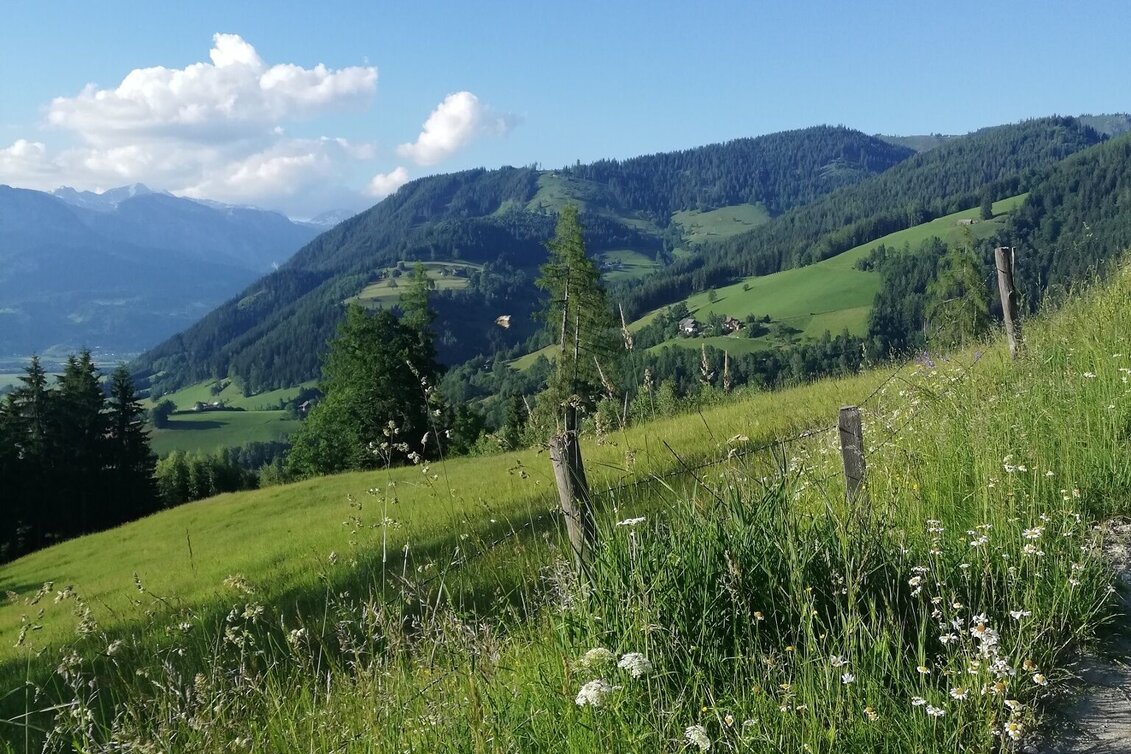 Wanderung Mölbegg Weg von Aigen - Touren-Impression #1 | © Tourismusverband Grimming-Donnersbachtal