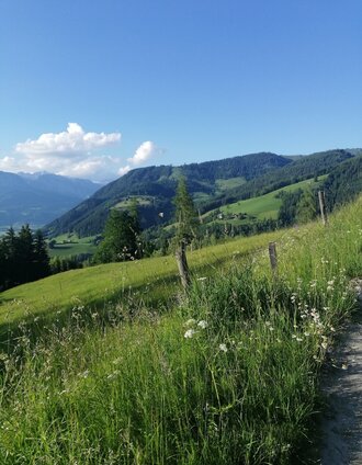 Blick Richtung Hohe Trett | Karina Weichbold | © Tourismusverband Grimming-Donnersbachtal