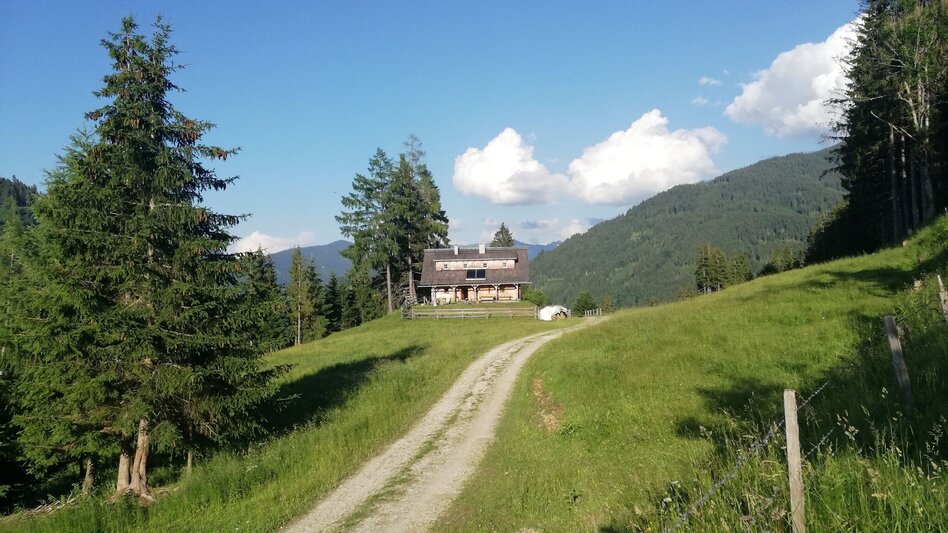 Wanderung Mölbegg Weg von Aigen - Touren-Impression #2.2 | © Tourismusverband Grimming-Donnersbachtal