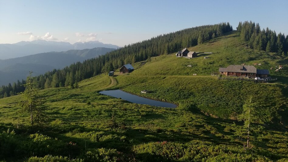 Wanderung Mölbegg Weg von Aigen - Touren-Impression #2.4 | © Tourismusverband Grimming-Donnersbachtal