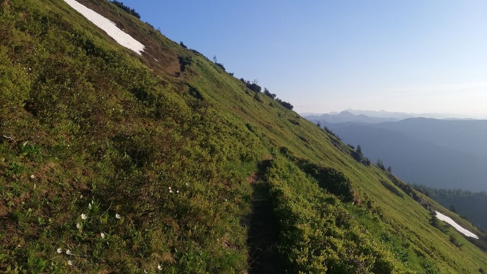 Wanderung Mölbegg Weg von Aigen - Touren-Impression #2.5 | © Tourismusverband Grimming-Donnersbachtal