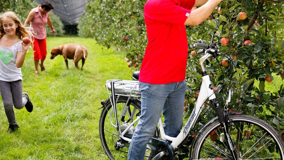 Bike Riding Entdeckertour 1 - Pöllau / Hofkirchen / Stubenberg / Anger / Birkfeld / Pöllau - Touren-Impression #2.2 | © Oststeiermark Tourismus