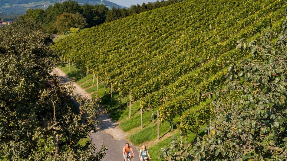 Bike Riding Entdeckertour 1 - Pöllau / Hofkirchen / Stubenberg / Anger / Birkfeld / Pöllau - Touren-Impression #2.3 | © Oststeiermark Tourismus