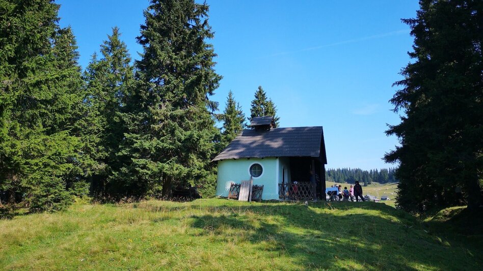 Wanderung Aus dem "Tirol" auf die Lach- und Hinteralm im Naturpark Mürzer Oberland - Touren-Impression #2.4 | © TV Hochsteiermark
