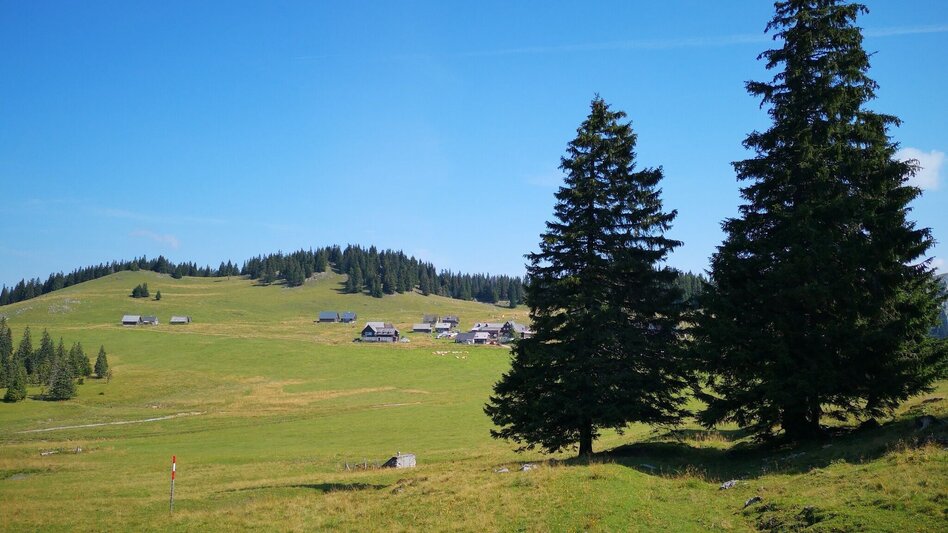 Wanderung Aus dem "Tirol" auf die Lach- und Hinteralm im Naturpark Mürzer Oberland - Touren-Impression #2.5 | © TV Hochsteiermark