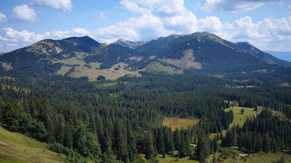 Wanderung Aus dem "Tirol" auf die Lach- und Hinteralm im Naturpark Mürzer Oberland - Touren-Impression #2.8 | © TV Hochsteiermark