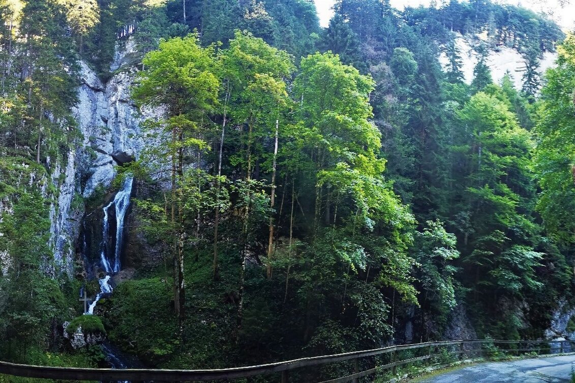 Family hiking trails Walk to the Natural Gem "Totes Weib" - Touren-Impression #1 | © TV Hochsteiermark