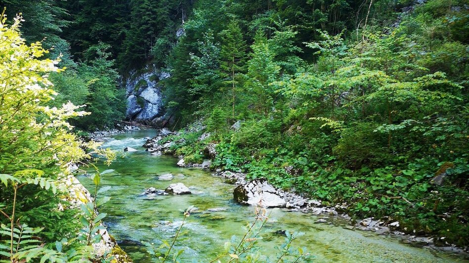 Family hiking trails Walk to the Natural Gem "Totes Weib" - Touren-Impression #2.2 | © TV Hochsteiermark