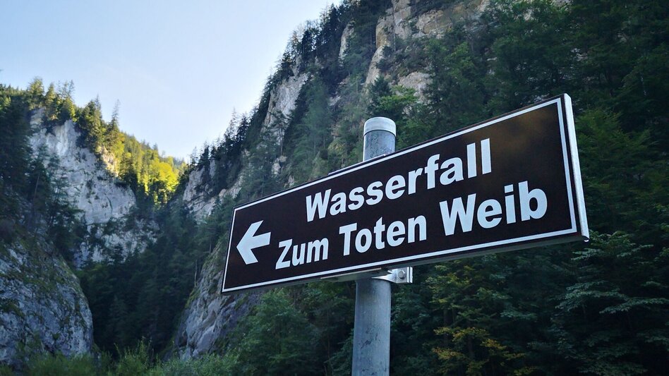 Family hiking trails Walk to the Natural Gem "Totes Weib" - Touren-Impression #2.5 | © TV Hochsteiermark