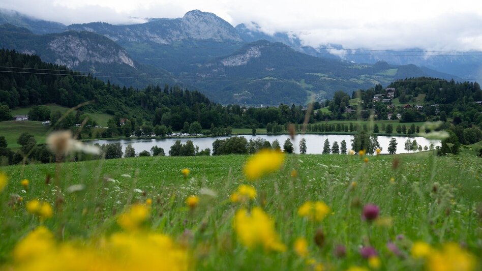 Wanderung Schlattham-Lantschern-Weg - Touren-Impression #2.5 | © Erlebnisregion Schladming-Dachstein