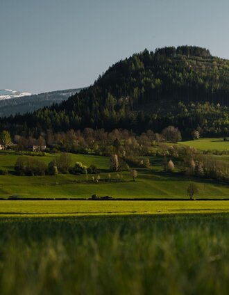 Der Kulm von seiner "sanften" der Stainacher Ansicht | Christoph Lukas | © Erlebnisregion Schladming-Dachstein