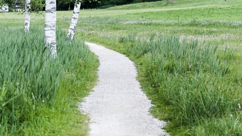 Hiking route Kulmrundweg - Touren-Impression #2.3 | © Erlebnisregion Schladming-Dachstein