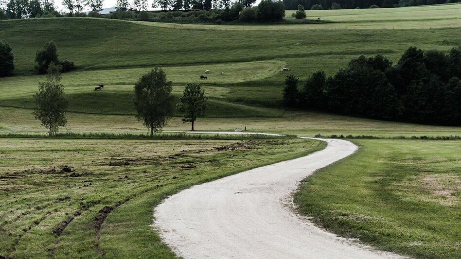 Hiking route Kulmrundweg - Touren-Impression #2.1 | © Erlebnisregion Schladming-Dachstein