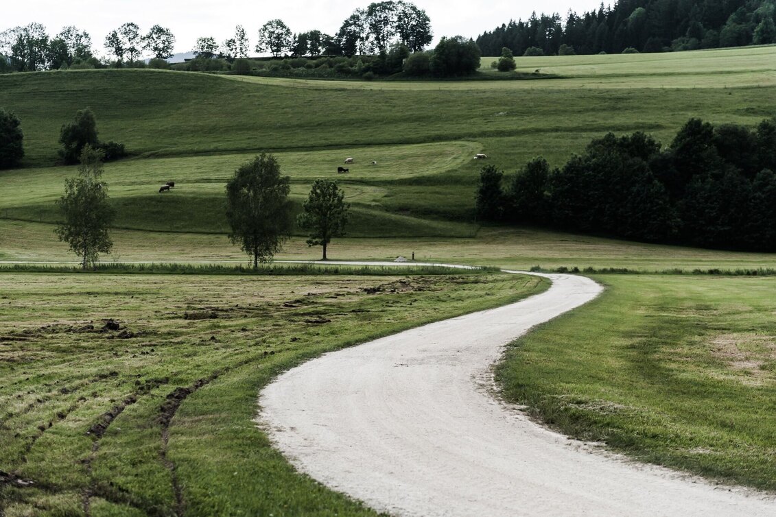 Hiking route Kulmrundweg - Touren-Impression #1 | © Erlebnisregion Schladming-Dachstein