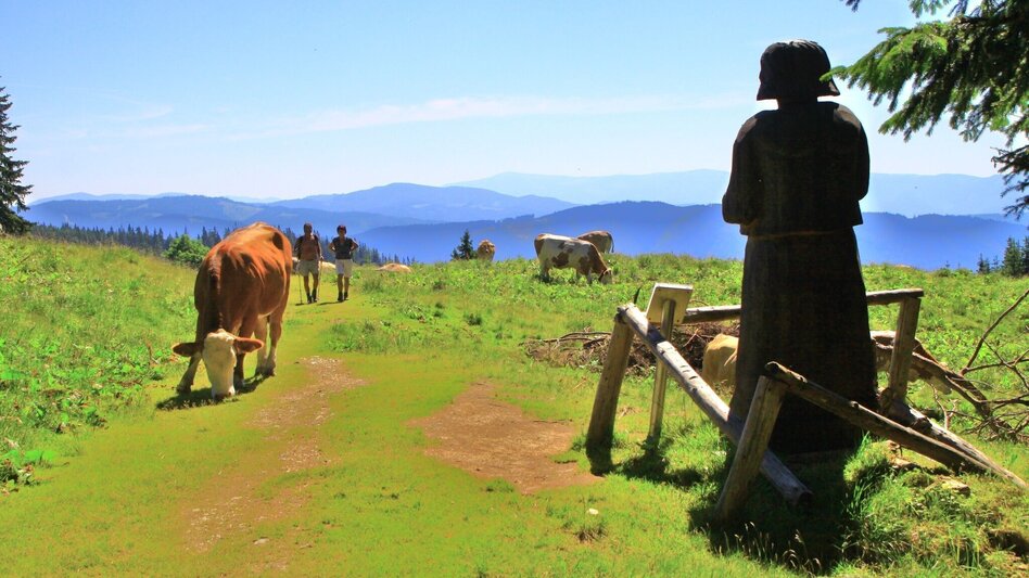 Hiking route To the Rotsohlalm - Touren-Impression #2.1 | © Herbert Podbressnik