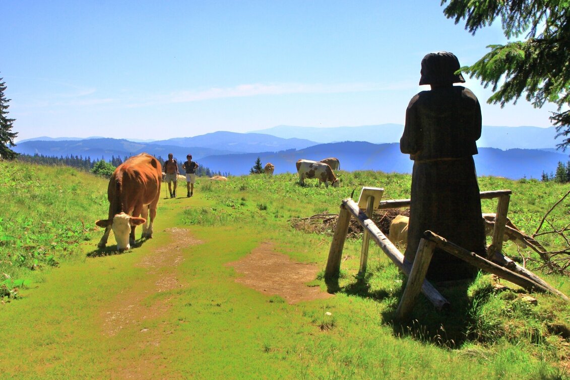 Hiking route To the Rotsohlalm - Touren-Impression #1 | © Herbert Podbressnik