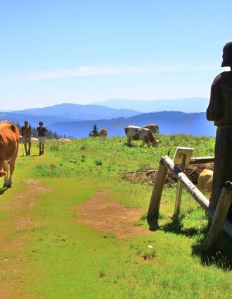 Der Schallerhansl auf dem Weg zur Rotsohl | Herbert Podbressnik | © Herbert Podbressnik