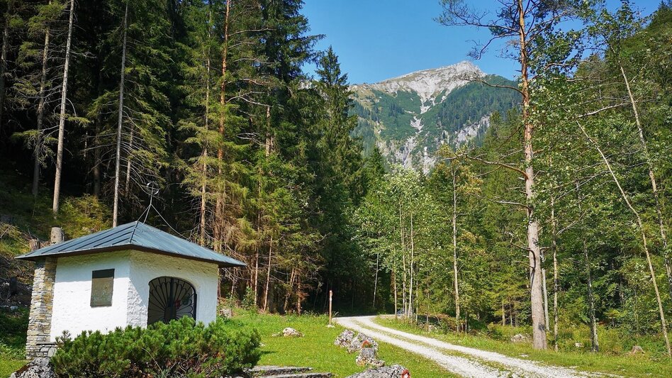 Hiking route From Karlgraben to Schönhaltereck in the Mürzer Oberland Nature Park - Touren-Impression #2.6 | © TV Hochsteiermark