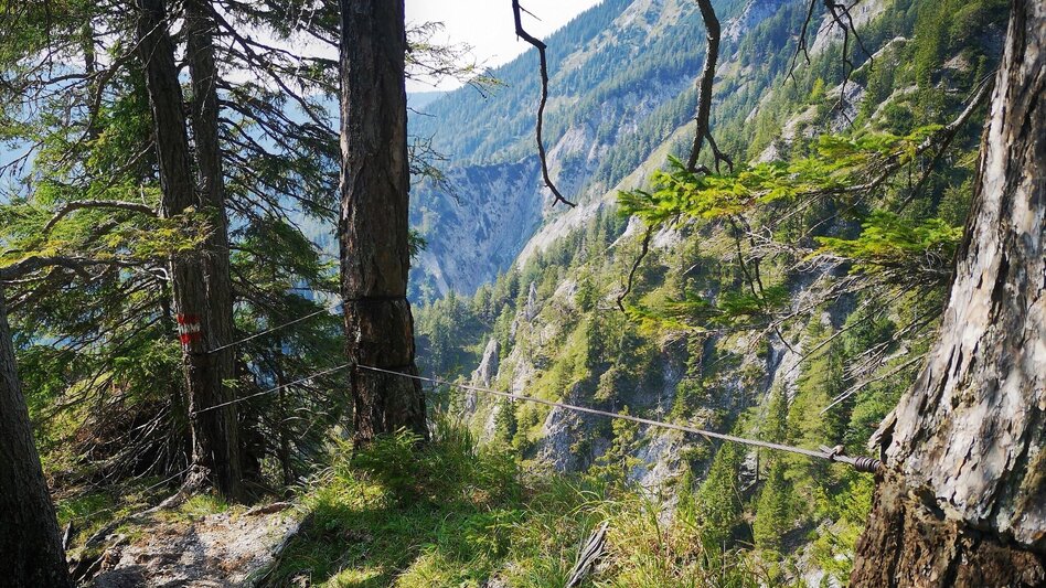 Hiking route From Karlgraben to Schönhaltereck in the Mürzer Oberland Nature Park - Touren-Impression #2.7 | © TV Hochsteiermark