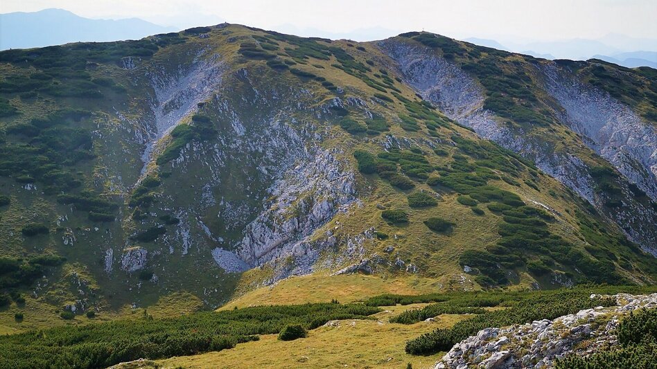 Hiking route From Karlgraben to Schönhaltereck in the Mürzer Oberland Nature Park - Touren-Impression #2.9 | © TV Hochsteiermark