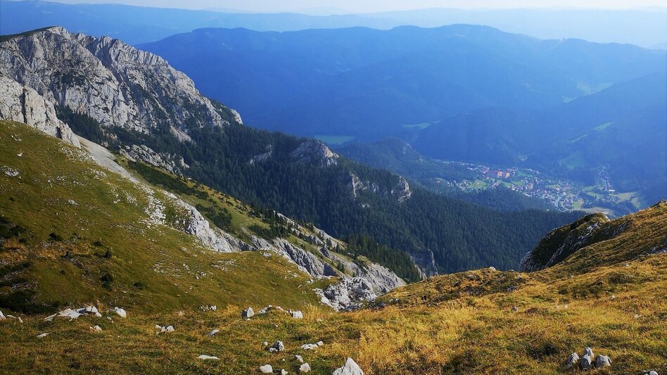 Hiking route From Karlgraben to Schönhaltereck in the Mürzer Oberland Nature Park - Touren-Impression #2.10 | © TV Hochsteiermark