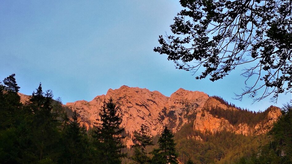 Hiking route From Karlgraben to Schönhaltereck in the Mürzer Oberland Nature Park - Touren-Impression #2.13 | © TV Hochsteiermark