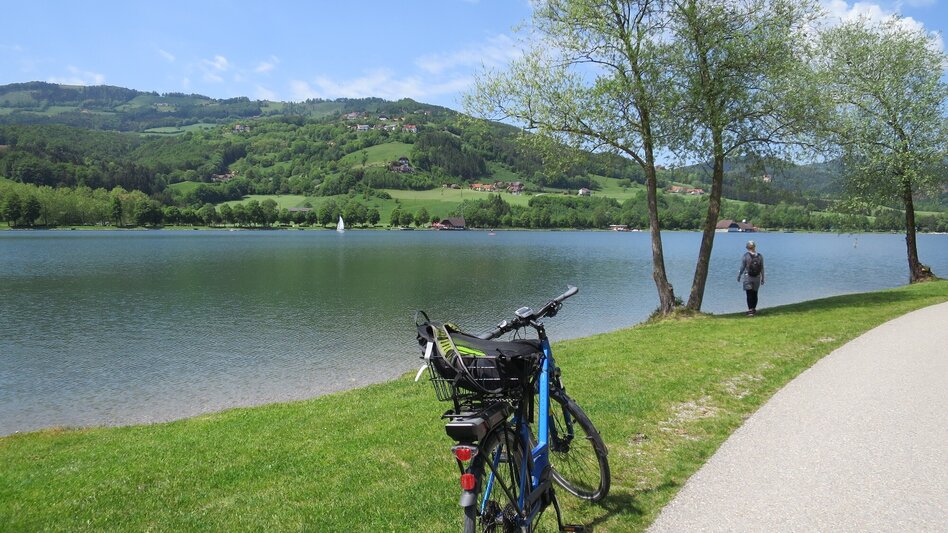 Bike Riding Discovery tour 4 - Gleisdorf / St. Ruprecht an der Raab / Stubenberg / Großwilfersdorf / Gleisdorf - Touren-Impression #2.1 | © Oststeiermark Tourismus