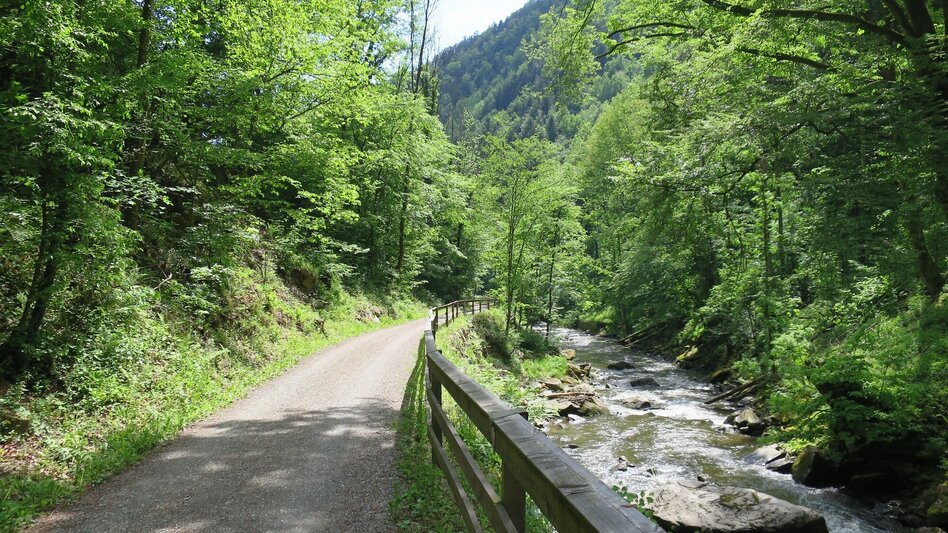 Bike Riding Discovery tour 4 - Gleisdorf / St. Ruprecht an der Raab / Stubenberg / Großwilfersdorf / Gleisdorf - Touren-Impression #2.2 | © Oststeiermark Tourismus