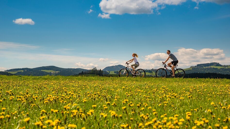 Radfahren Entdeckertour 5 - Weiz / St. Kathrein am Offenegg / Brandlucken / Anger / Puch bei Weiz / Weiz - Touren-Impression #2.2 | © Oststeiermark Tourismus