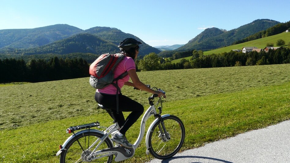 Radfahren Entdeckertour 5 - Weiz / St. Kathrein am Offenegg / Brandlucken / Anger / Puch bei Weiz / Weiz - Touren-Impression #2.3 | © Oststeiermark Tourismus