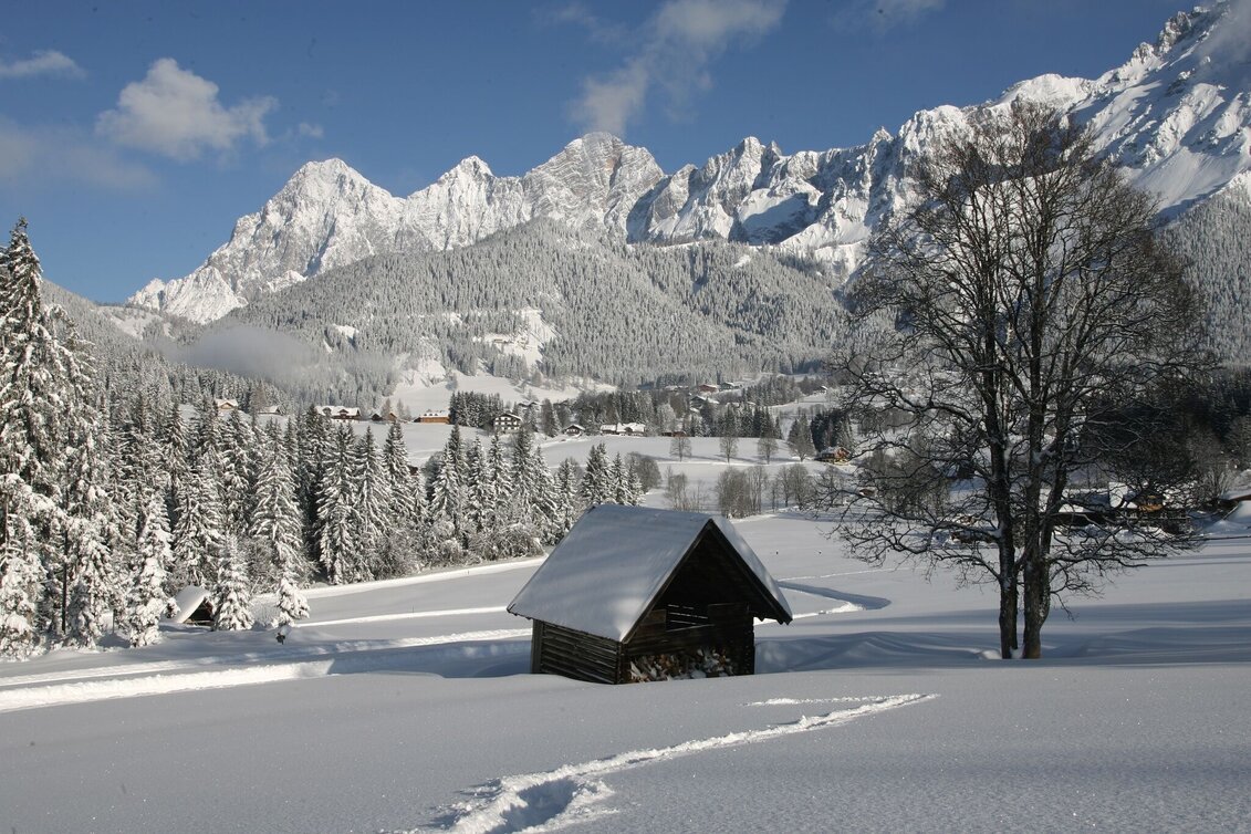 Winter Hiking Kulmberg Loop Trail - Touren-Impression #1 | © Erlebnisregion Schladming-Dachstein