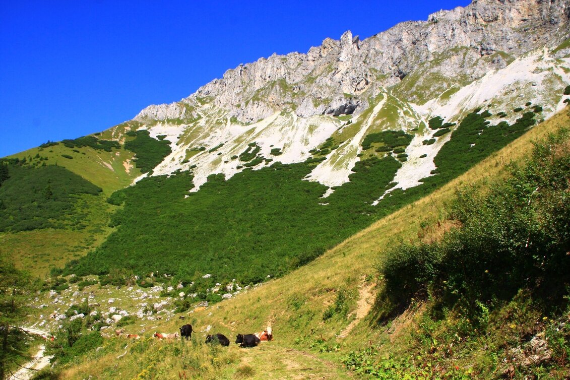 Hiking route Panoramaweg Brunnalm - Touren-Impression #1 | © Herbert Podbressnik