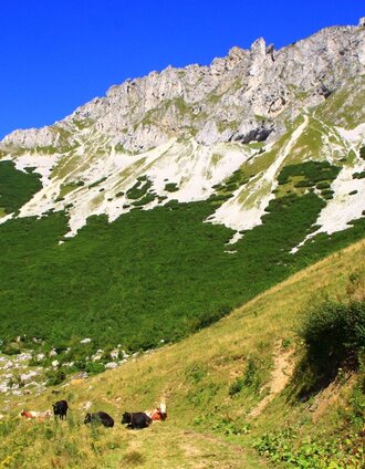 Südwände der Hohen Veitsch | TV Hochsteiermark | © Herbert Podbressnik