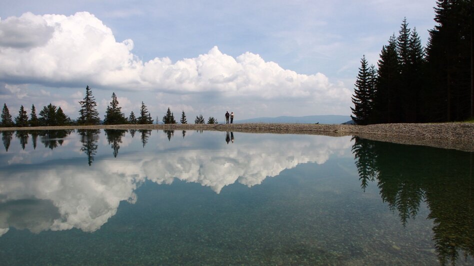 Hiking route Panoramaweg Brunnalm - Touren-Impression #2.2 | © Herbert Podbressnik