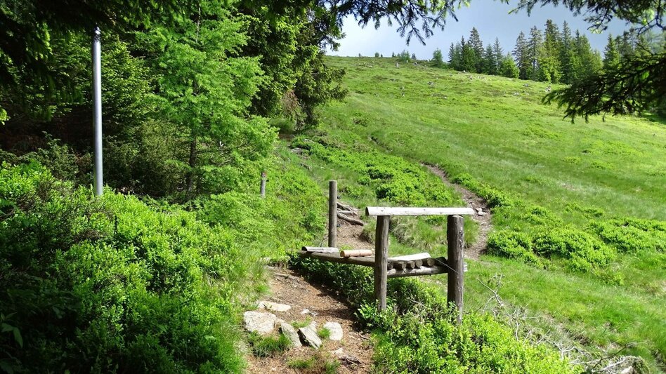 Hiking route Steinplan starting Oberkamper - Touren-Impression #2.2 | © Weges OG